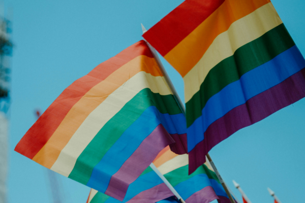 A imagem mostra a bandeira LGBTIQAPN+, fazendo referência a diversidade e inclusão.